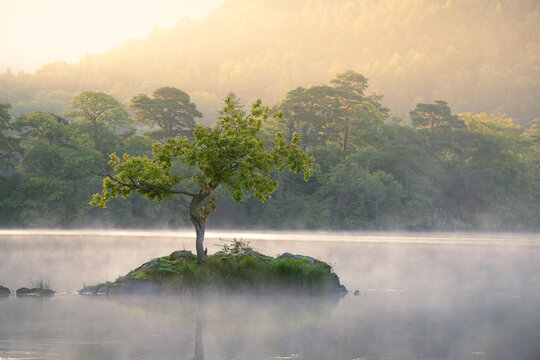 Glorious Summer sunshine at a calm misty Rydal Water with trees in background. Rydal Water, Lake District, UK.