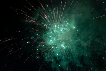Fireworks blooming in the night sky