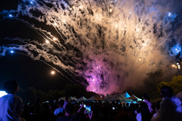 Fireworks blooming in the night sky