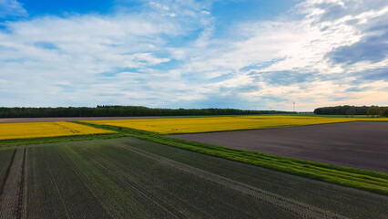 Blurred image of natural landscape with plants under blue sky and clouds 4K FPV drone view Hanover Seelze Germany 