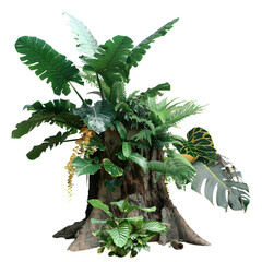 roots and tropical leaf