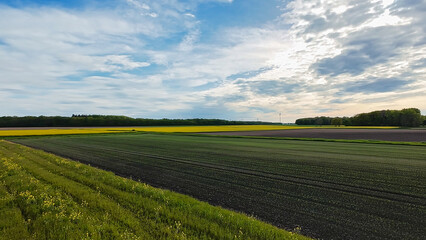 Blurry image of grassy field under blue sky with clouds 4K FPV drone view Hanover Seelze Germany 