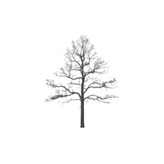 Obraz premium Minimalistic Tree Silhouette Icon Simple and Elegant Designs for Nature-Inspired Graphic Projects 