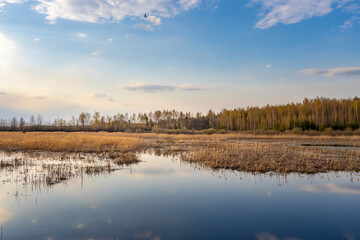 A calm lake with a few trees in the background