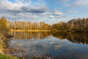 A lake with trees in the background