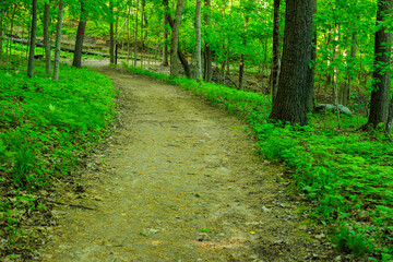 The Green Hiking Trail winds through the spring woods, shaded from the early morning sun, within Pike Lake Unit, Kettle Moraine State Forest, Hartford, Wisconsin