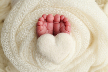 The tiny foot of a newborn baby. Soft feet of a new born in a white wool blanket. Close up of toes, heels and feet of a newborn. Knitted white heart in the legs of a baby. Macro photography