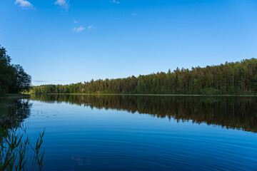 Reflection of sky, trees in lake water