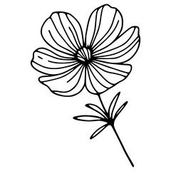 This is an illustration of flowers in a simple and modern line art style.