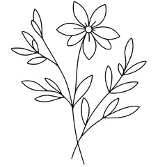 This is an illustration of flowers in a simple and modern line art style.