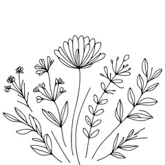 This is an illustration of flowers in a simple and modern line art style.