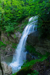 Fototapeta premium mustic waterfall in the forest