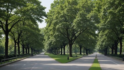 Fototapeta premium A peaceful park pathway surrounded by trees in the summer
