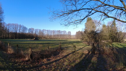 Plants, flower fields and animals in Hesse 