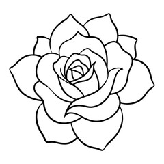 Outline rose flower