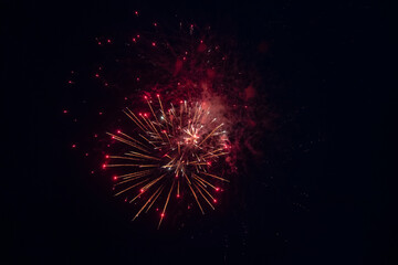 Fireworks blooming in the night sky