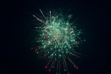 Fireworks blooming in the night sky