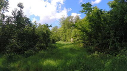 Plants, flower fields and animals in Hesse 