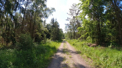 Plants, flower fields and animals in Hesse 