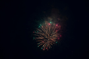 Fireworks blooming in the night sky