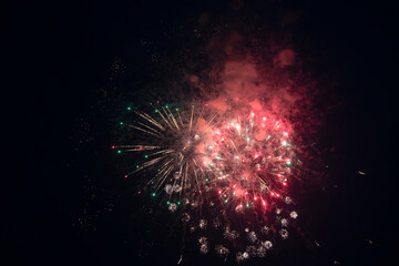 Fireworks blooming in the night sky