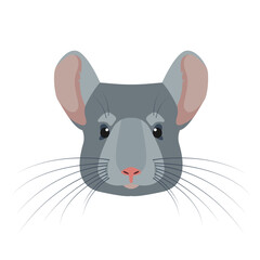 Fototapeta premium Chinchilla face or head front view. Cute gray fluffy pet icon. Rodent animal. Vector illustration isolated on white background.