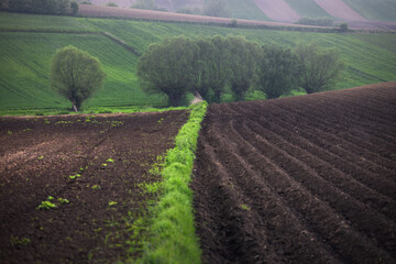 Krajobraz Polski  © Sieku Photo