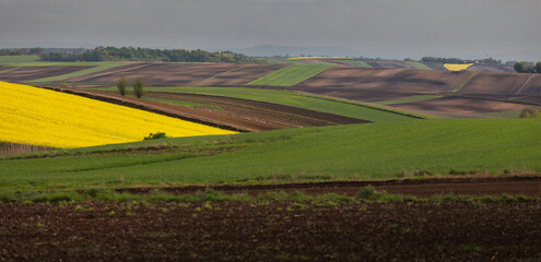 Obraz premium Krajobraz Polski 