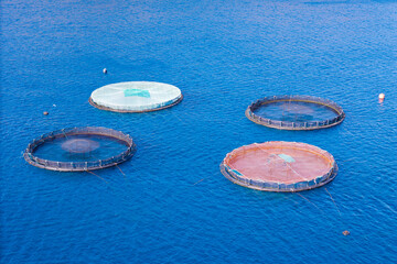 Farm fish salmon aquaculture blue water floating cages. Aerial view © Leonid