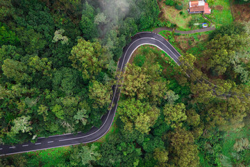 Aerial view of curvy road through dense forest on Madeira island, road trip on Madeira on vacation