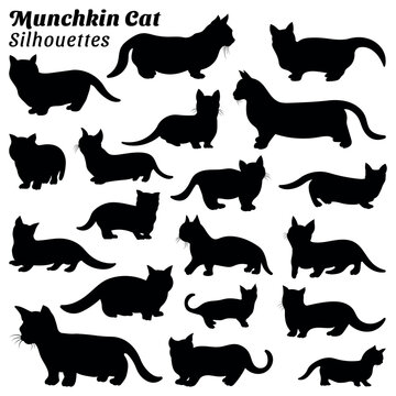 Set of munchkin cat silhouettes illustration