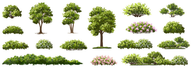 Vertor set of spring blossom tree,bloomimg plants side view for landscape elevation and section,eco environment concept design,watercolor illustration,colorful season
