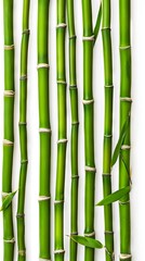 Fototapeta premium A bunch of bamboo sticks on a white background.