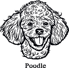 Poodle - Funny Dog, Vector File, Cut Stencil for Tshirt