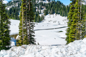 Chinook Pass Snowy Stream 3