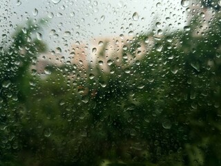 Rain drops on the window