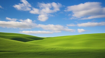 classic oil painting depicting a rolling hills landscape adorned with fresh spring green grass, reminiscent of Renaissance art.