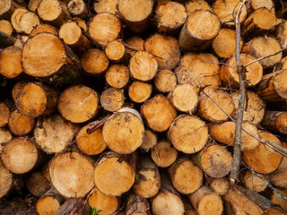 A large pile of wood logs is stacked on top of each other. The logs are brown and appear to be freshly cut. The scene is set against a backdrop of a cloudy sky. Raw material production industry