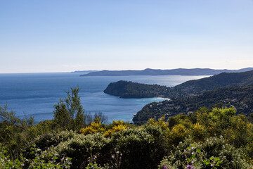 Obraz premium Archipelago off Hyeres in the Mediterranean with flowers at foreground