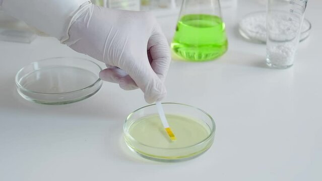 A scientist in a chemical laboratory takes measurements of the acid-base balance of a liquid in a Petri dish.