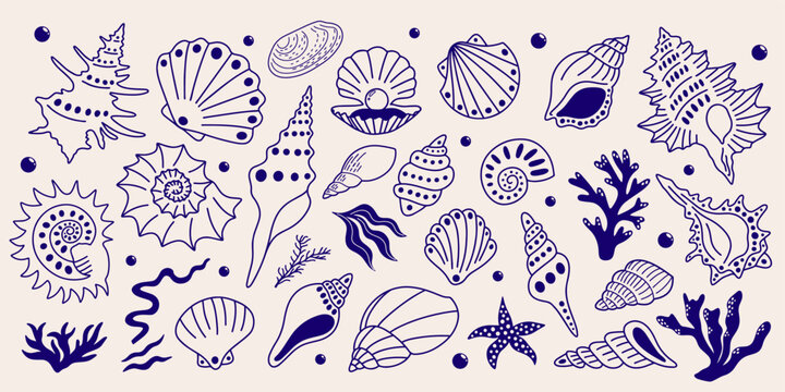 Abstract sea shells, plants shapes and forms vector illustration set for design. Different types of exotic underwater seashells marine aquatic ocean decorative outlined, funky elements collection.