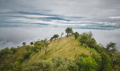 Fototapeta premium landscape with clouds