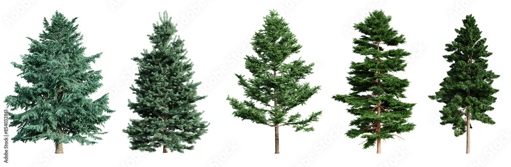 Poster Set of coniferous trees isolated on transparent background. 3D render.
