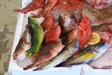 Fish market in Alghero, Italy