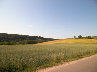 Fototapeta premium Landscape of meadow and hills in Wieżyca, Kashubian Region, Poland.