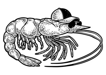 Cartoon shrimp with cap and sunglasses sketch engraving PNG illustration. T-shirt apparel print design. Scratch board imitation. Black and white hand drawn image.