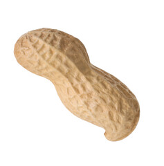 One fresh unpeeled peanut isolated on white