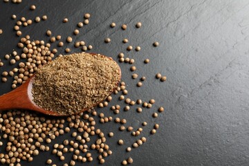 Coriander powder in spoon and seeds on black table, top view. Space for text