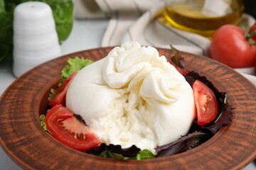 Delicious burrata salad in bowl on table, closeup