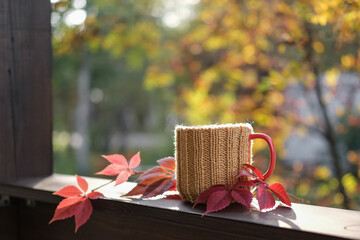 A cup of tea with bright fallen leaves against the backdrop of an autumn garden. A cup of hot tea on a sunny day on the terrace